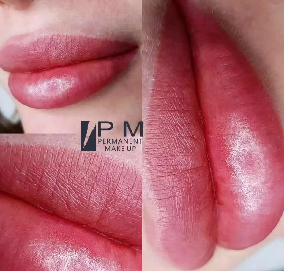 

Intelligent PM CE Certificate Best Permanent Makeup/Microbalding Device