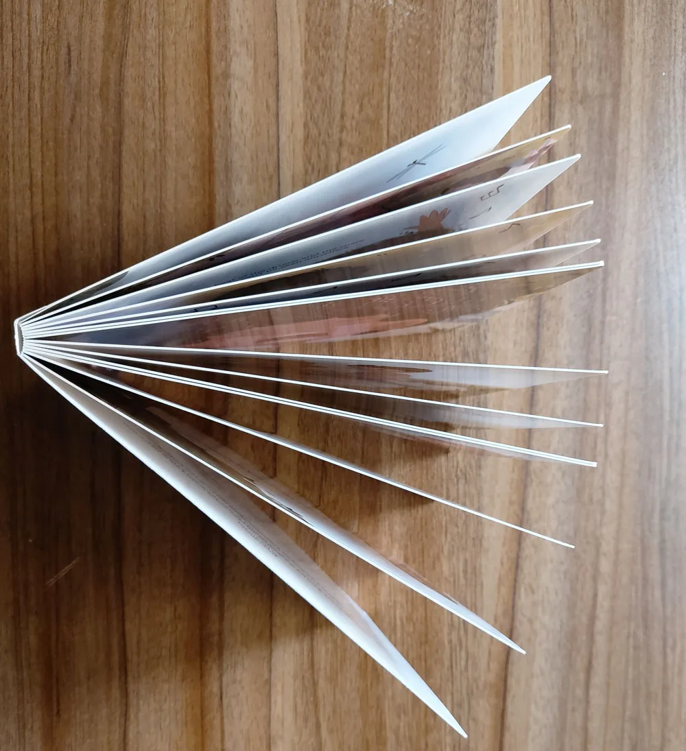 board book 1.jpg