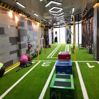 

UV Resistant Gym Flooring Artificial Turf Grass For Sled Barbell