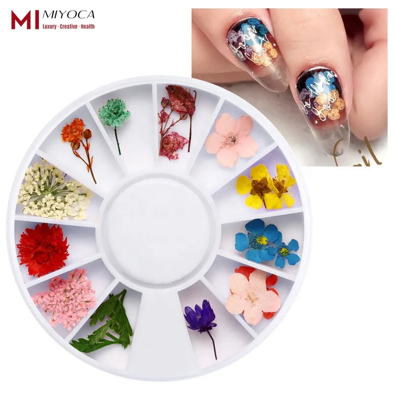 

MIYOCA 2021 Nail Art Accessories Wholesale 12 Colors Dried Daisy flowers for nail embossed acurlic 3d flower nail decal sticker