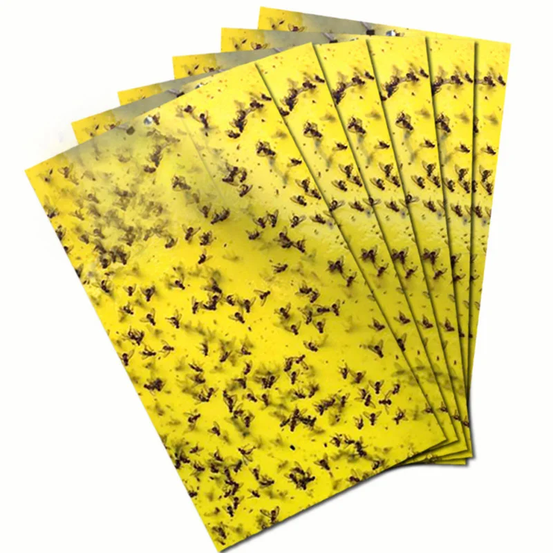 

Wholesale FRUIT FLY TRAP Dual Yellow blue Sticky Flying Insect Aphids Whiteflies Indoor and Outdoor insect glue traps
