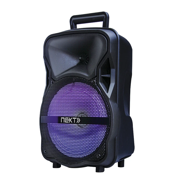 

Customized sound box dj speaker rechargeable 8 inch 10W portable wireless speaker wih mic