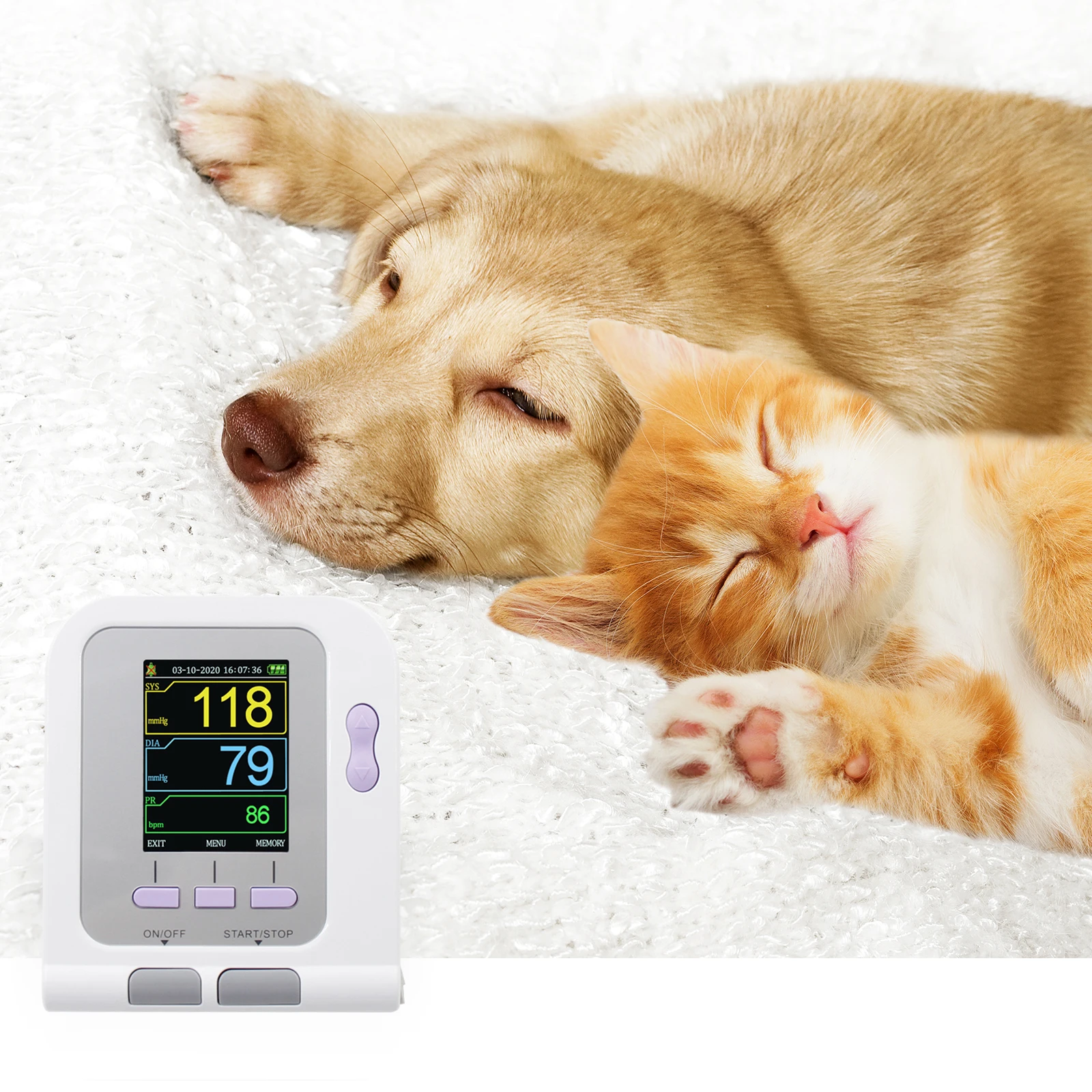 

CONTEC Veterinary Blood Pressure Monitor Electronic Sphygmomanometer VET BP Monitor Cheap CONTEC08A-VET
