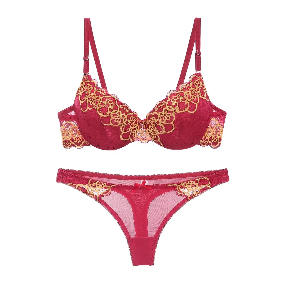 

Fancy Sexy Erotic Lace Embroidery Thong Women Bra and Pants Set, Blue/red/white/black/brown/claret