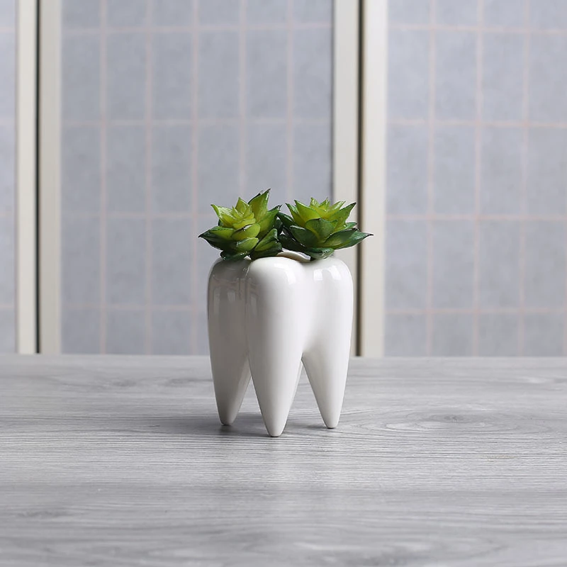 

Creative mini tooth shape succulent plants white ceramic pots for home garden decoration accessories