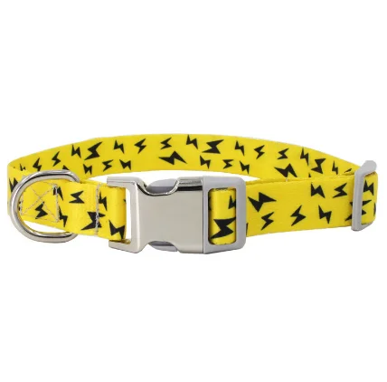 

Half-metal Custom Logo Nylon Dog Collar Fashion Dog Collar