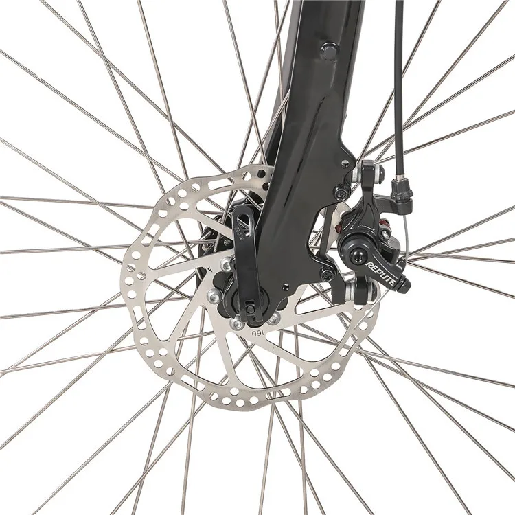 ebike (2).jpg