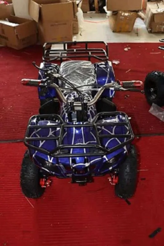 
2020 New Type Adults Off Road Mini Quad Electric ATV 36V 