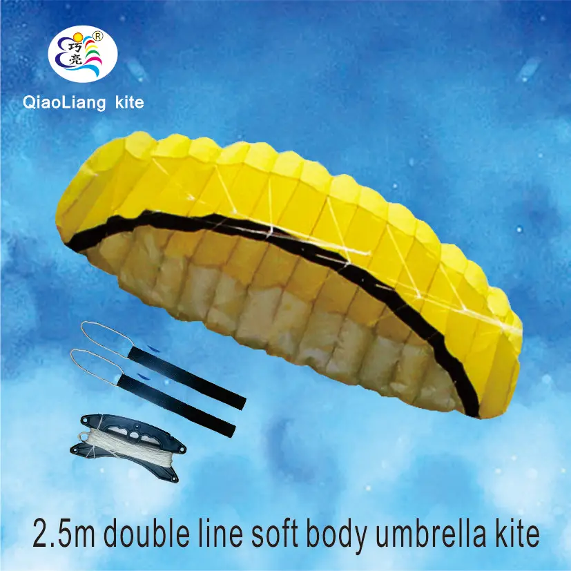 Superior Quality Dual Line Kitesurf Kite Buy Kitesurfing Kite,Kite