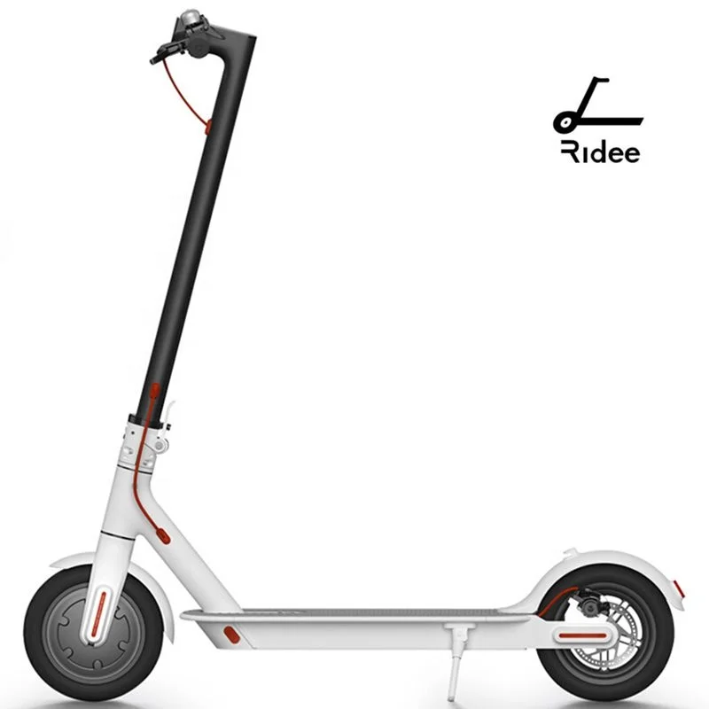 

China 350w 500W+1000W scuter adult foldable 2 wheel electric mobility scooter with seat