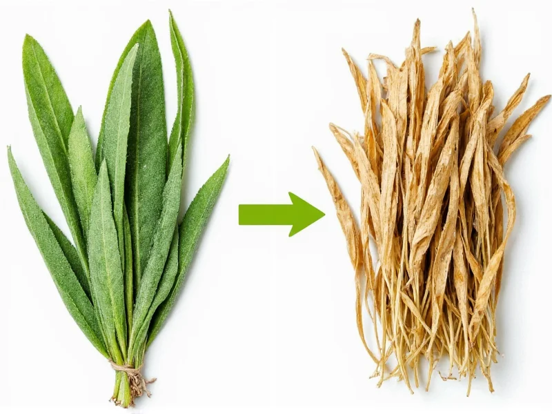 Fresh Sage to Dried Sage Conversion: 3:1 Ratio Explained