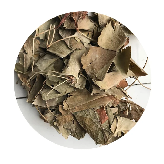 
Dried Ginkgo Biloba Leaves 