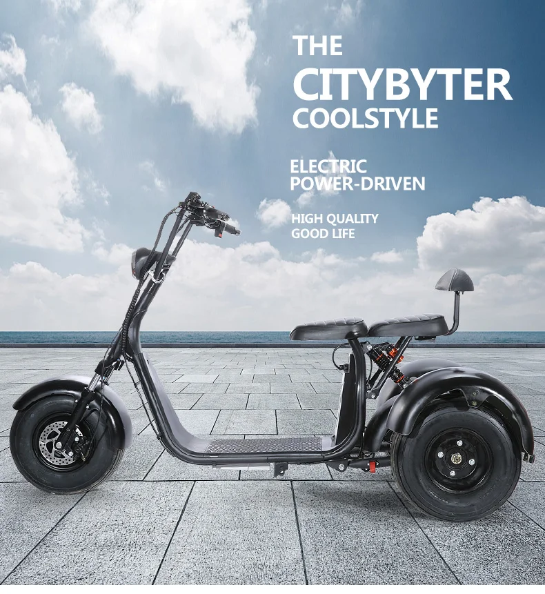 three wheels EEC electric scooter