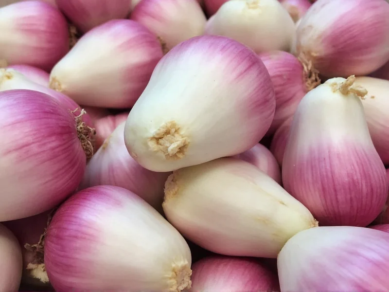 Can You Freeze Shallots? Complete Freezing Guide
