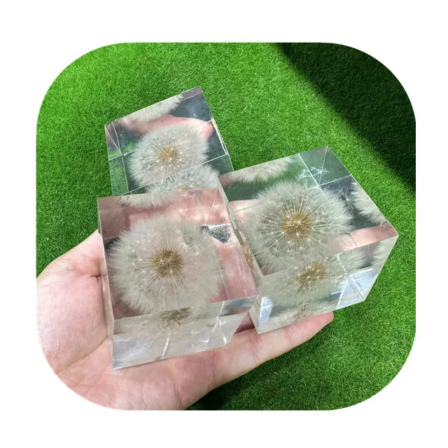 

Wholesale 50mm cube shaped transparent resin dandelion paperweights for Decor gift