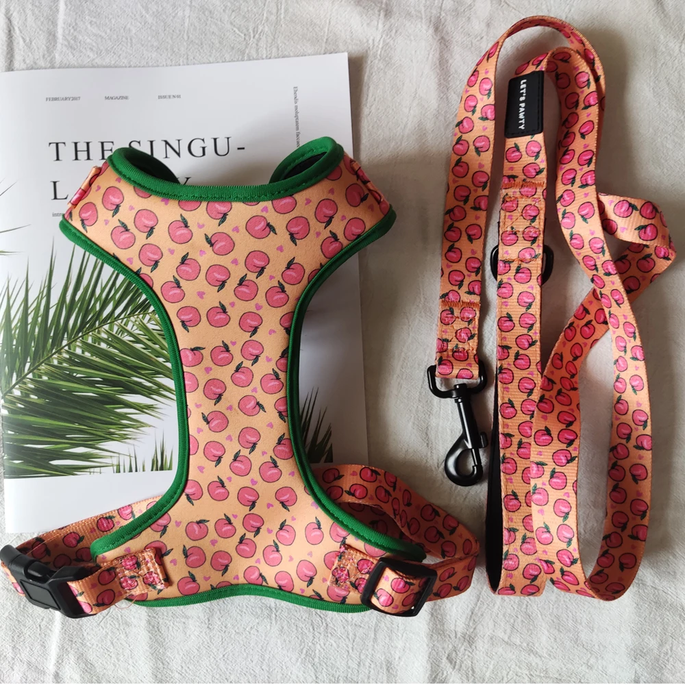

2021 Pet Products Custom Designer Fashion Pet Dog Harness Collars Vest And Leash Set, Customized