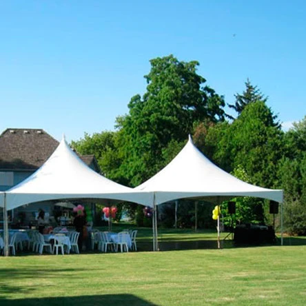 

3x3 4x4 5x5 6x6 m Aluminum Frame Waterproof PVC Event Wedding Party Pagoda Tent, White