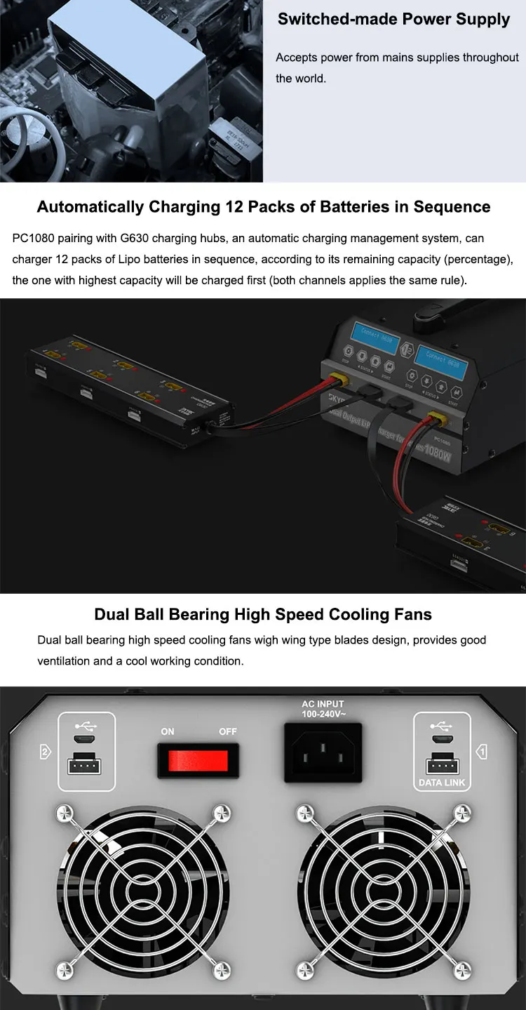 Dual Channel Lithium Battery Charger