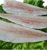 hake hgt, Frozen Pacific kake Fillet