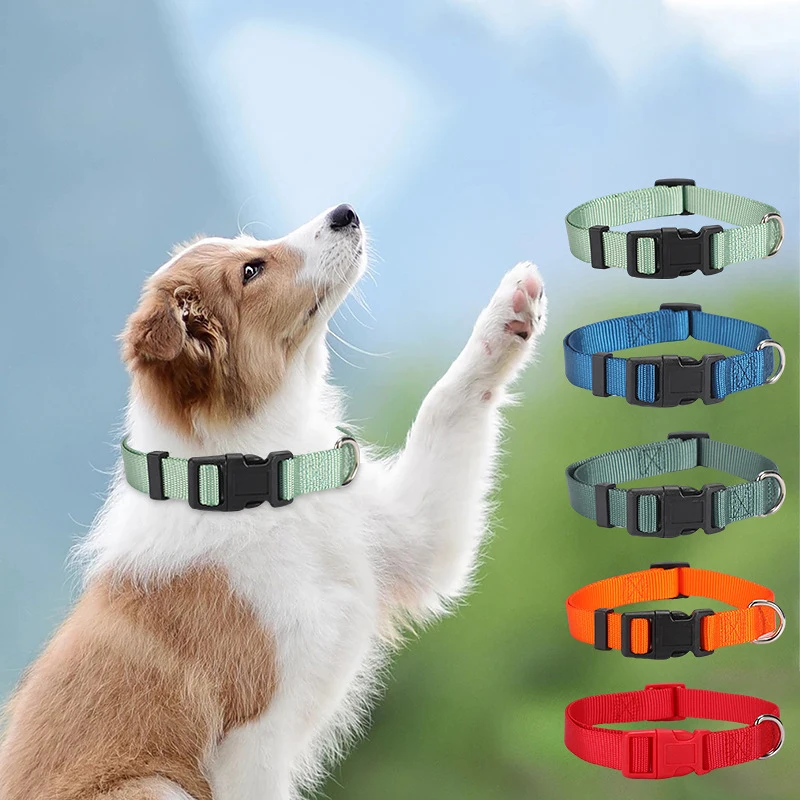 

Adjustable plain polyester pet collar wholesale private label nylon custom dogs collar