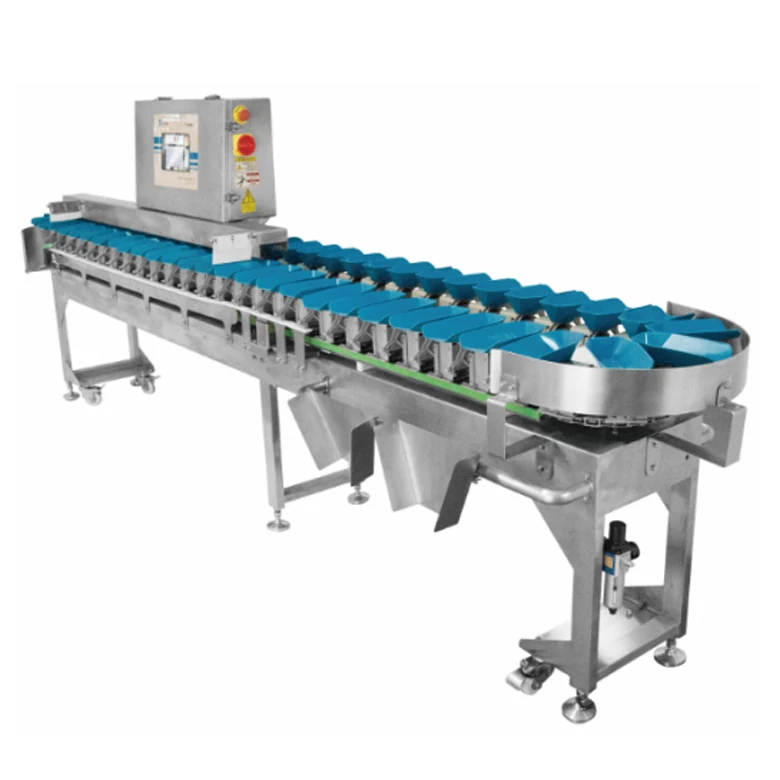 Multi grade online automatic check sorter fruit sorting machine for seafood