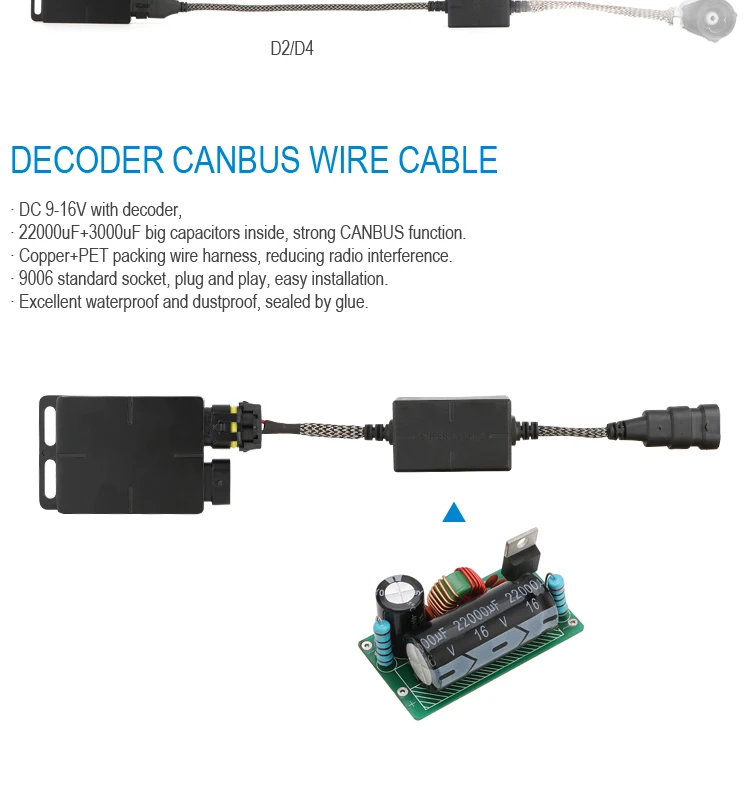 20200617-T5- (5).jpg