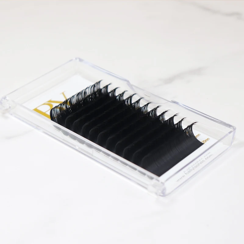 

BY Private Label Wholesale Individual Professional Volume Eyelash Extension, Black