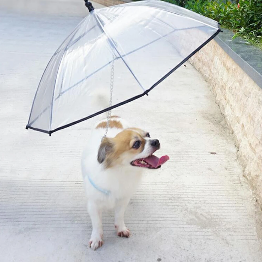 

2021 New Product Custom Logo Printing Transparent Pet Umbrella Transparent Umbrella for Dog, White