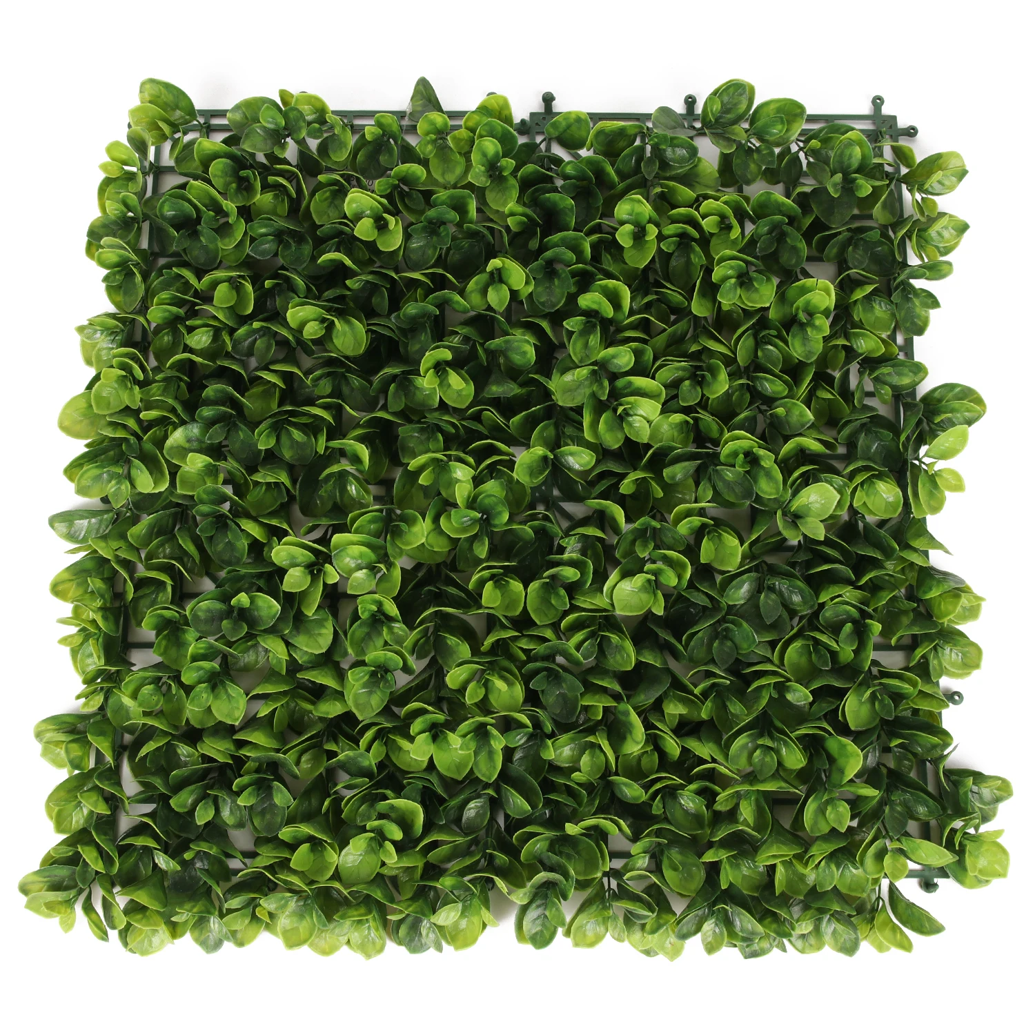 

P25 Direct sales plastic faux artificial boxwood hedge mats panel foliage green grass wall plant for outdoor decor, Green color