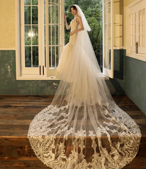 

New Arrive Two-Layer Lace Wedding Veil with Appliques Stunning 4 Meters Length 3 Meters Wide Bridal Veils with Comb