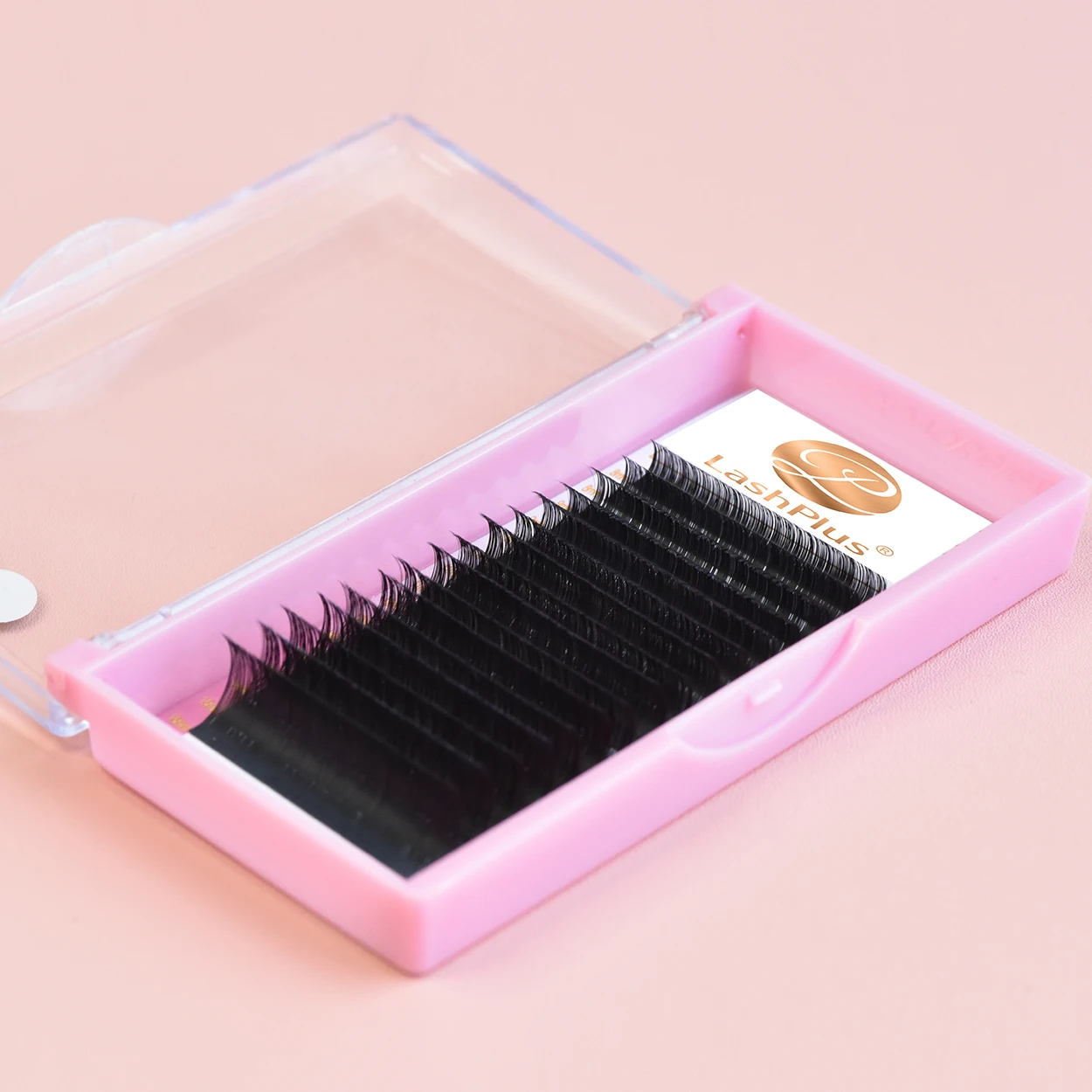 

LashPlus korean flat elipse eyelash extensions classic flat matte 0.15 0.25 lash extensions trays