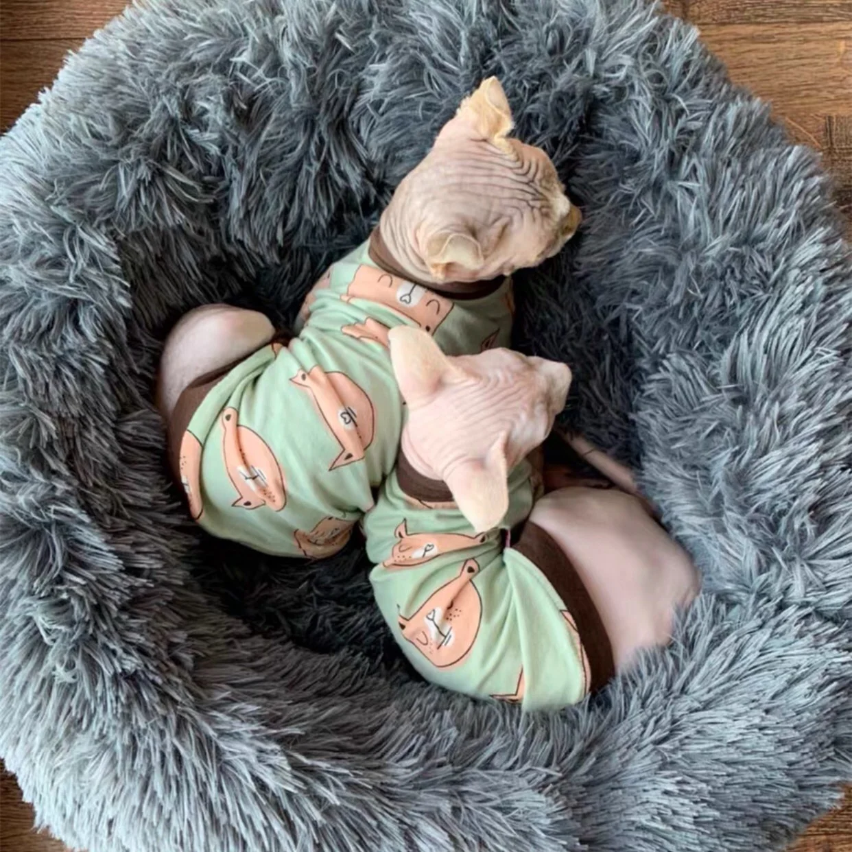 

cover removable 2020 colorful luxury pet bed dog for Christmas gifts, Solid