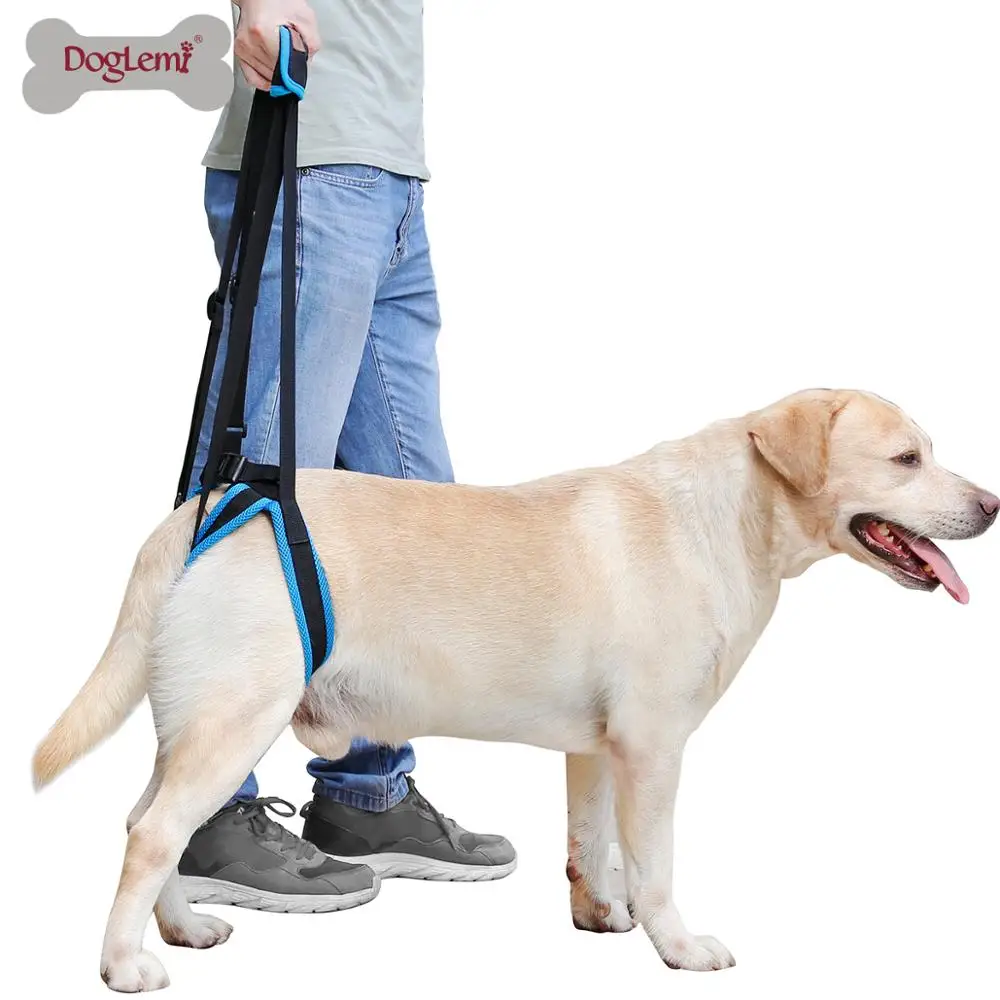 

Wholesale Cheap Dog Lift Harness for Back Legs Pet Support Sling Help Weak Legs Stand Up, Blue