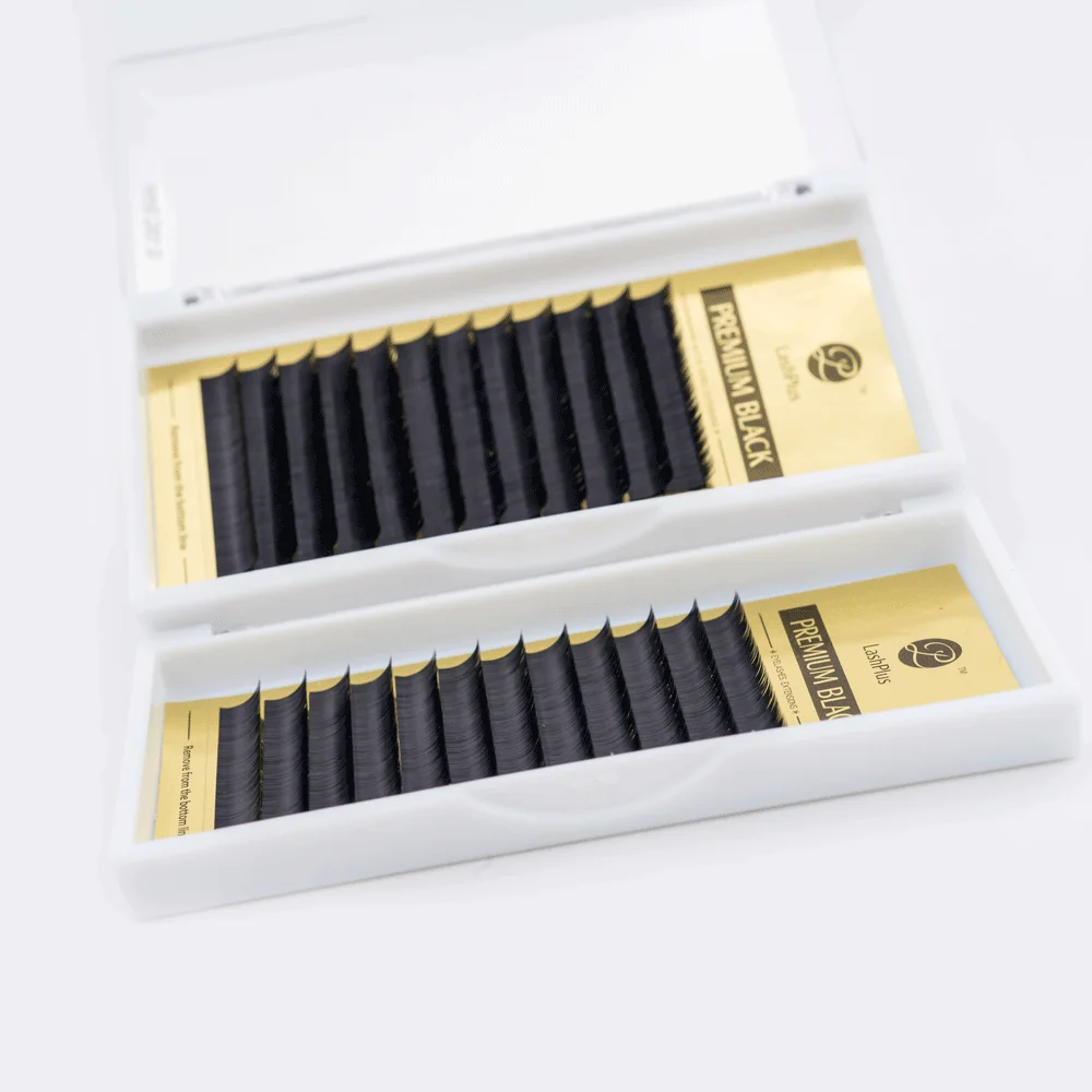 

Lash plus private label Easy Fan eyelash extensions, Black