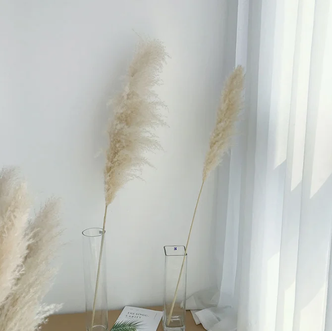 

FCD1001 Wholesale Natural Dried Flower Decorative Fluffy Dried Pampas For Wedding Home Decor, Customized