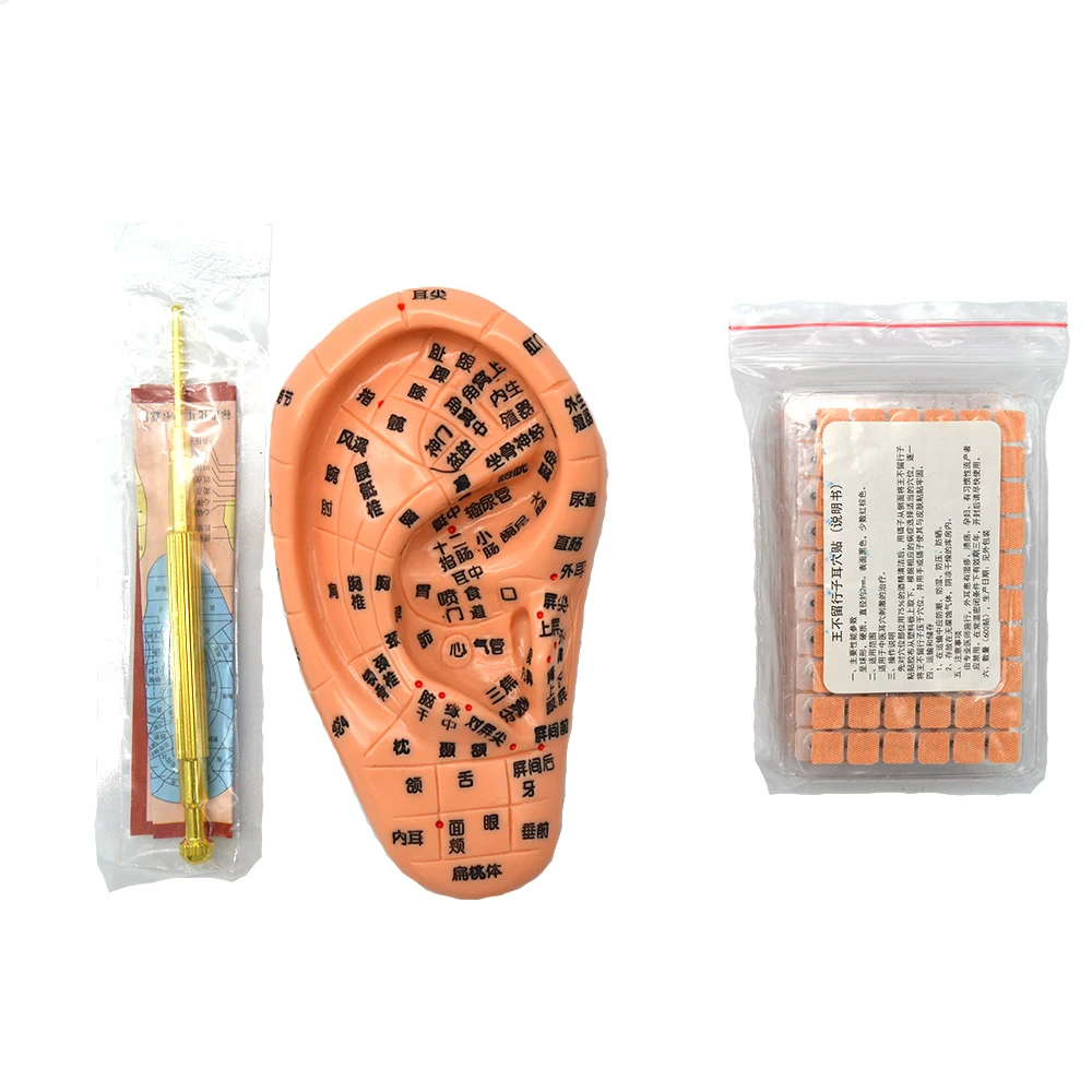 13cm Professional Medical Acupuncture Silicon Ear Massage Model With