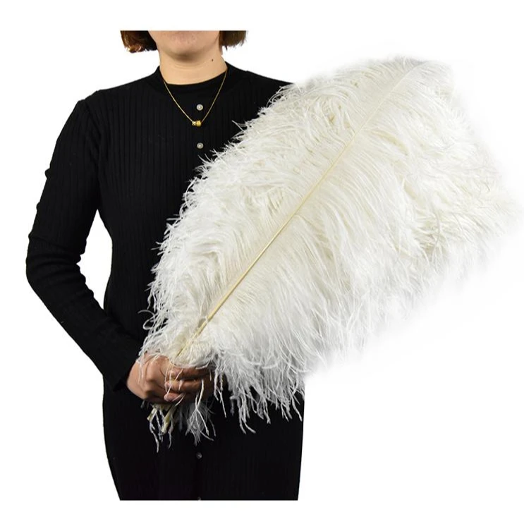
Wholesale Feather Crafts Supplier Promotional Cheap Bulk Large White Big Feather White Feather of decoration  (62420606927)