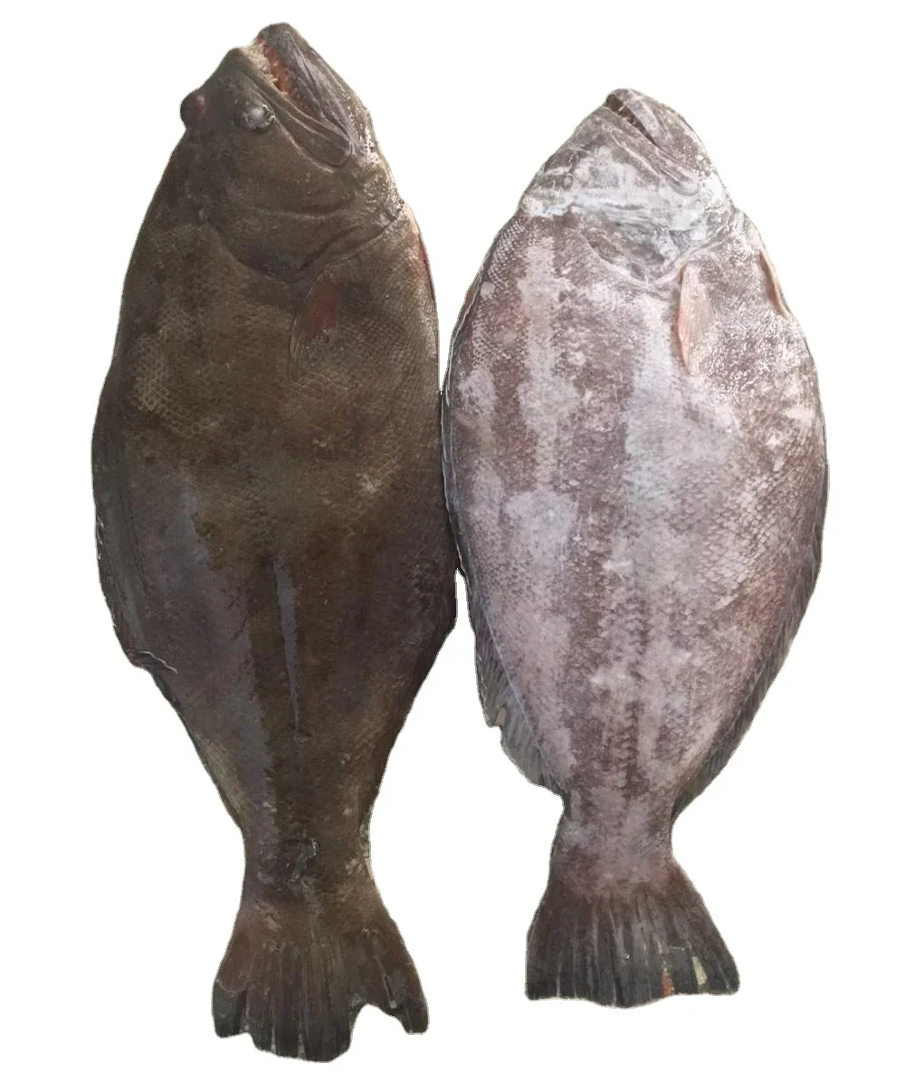 
Good Sale Indonesia Origin Seafood Frozen Halibut WR 