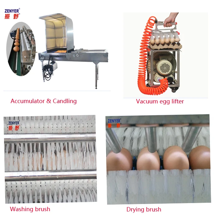 
best price egg grading and washing machine for chicken house 