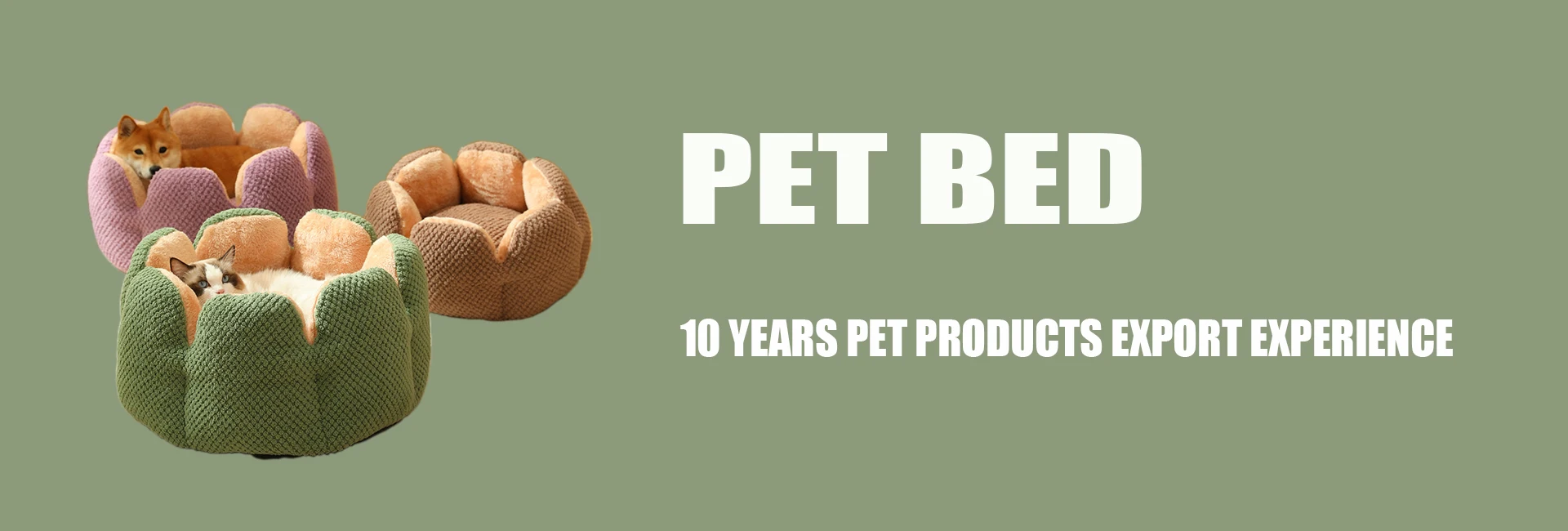 Chongqing Peterpan Pet Products Co., Ltd. pet bed&Mat, Pet Collar & Leash