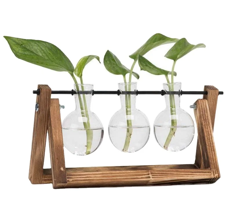 

Metal Plant Terrarium Glass Planter Bulb Vase with Retro Solid Wooden Stand, Customized color