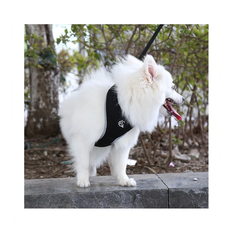 

Custom Design Air Mesh Reflective Leash Cat Adjustable Dog Harness, Black,blue,green,red,plum,customized color