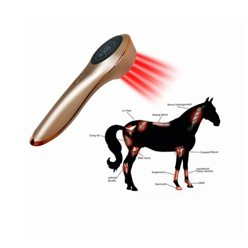 Cold Laser Therapy Vet Device for Pets 808nm Red Light Therapy Devices for Pain Relief Home Light Therapy for Dogs Cats Horses
