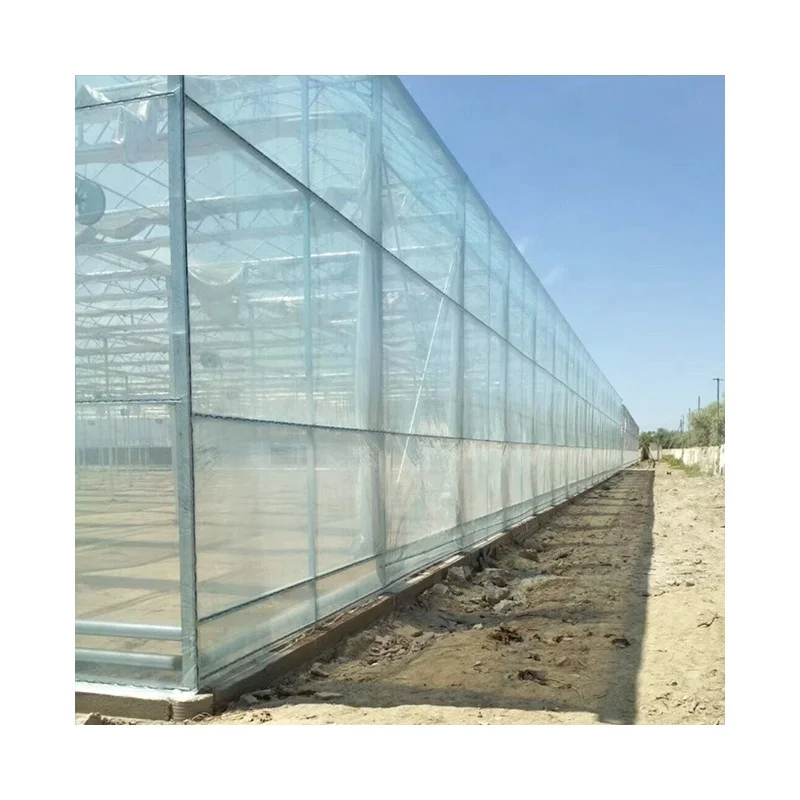 
Greenhouses Covered Plastic poly film greenhouse multi-span hydroponic greenhouse 