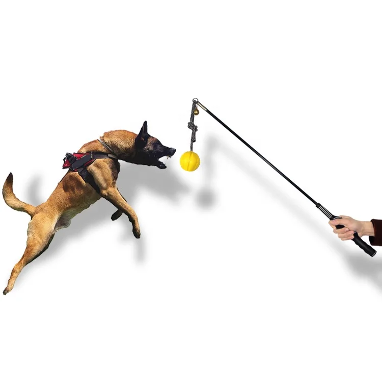 

Factory high quality Belgian Malinois shepherd k9 dog training products teaser pole