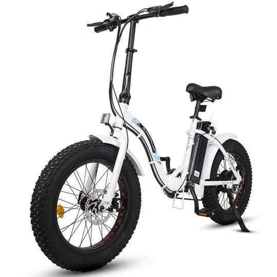 

Most popular alloy frame ECOTRIC fatbike 500W electric folding bike electric mountain bicycle