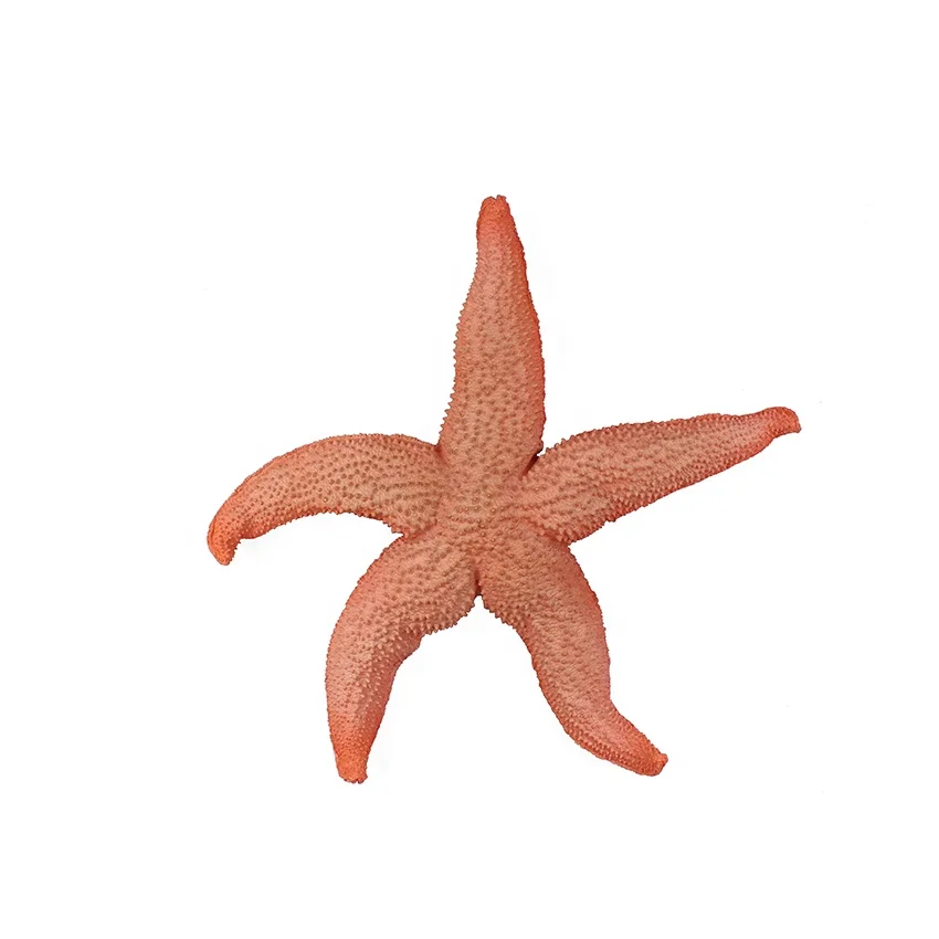 Cute resin starfish wall decoration 3d for home supplier