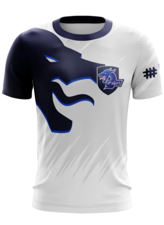 
Custom OEM sublimation printed Free design Quick Dry template League of Legends cs go o-neck esports gaming t shirt camisetas 