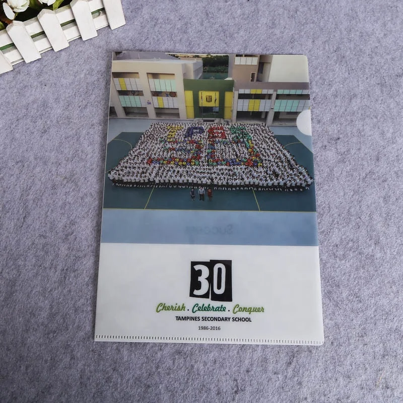 
Custom printing PP L shape file folder 