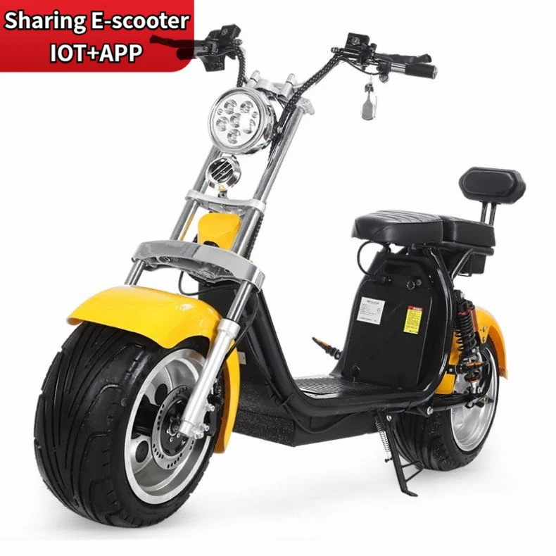 
2020 New Promotional Various 2000W Citycoco Newest Design 18*9.5 Inch halei Durable Big Wheel Electric Scooter 